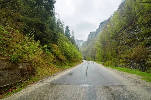 Mountain road in a rainy day — Stock Photo, Image