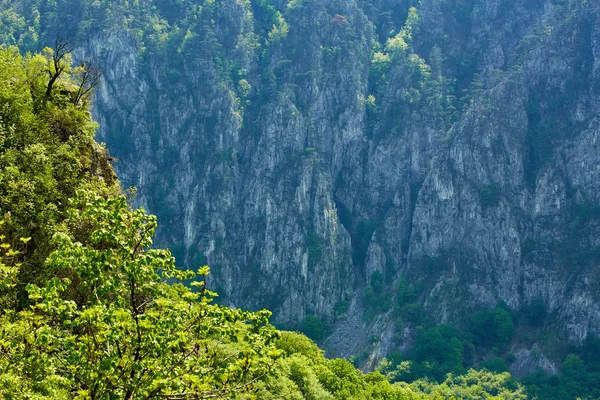 Paisagem montanhosa na primavera Imagens De Bancos De Imagens Sem Royalties