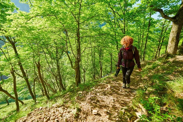 Frau mit Rucksack auf Waldweg unterwegs — Stockfoto