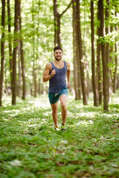 Fitter Läufer auf einem Trail Run — Stockfoto