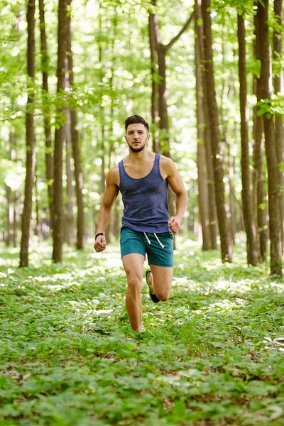 Fitter Läufer auf einem Trail Run — Stockfoto