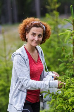 kadın köknar tomurcukları toplama