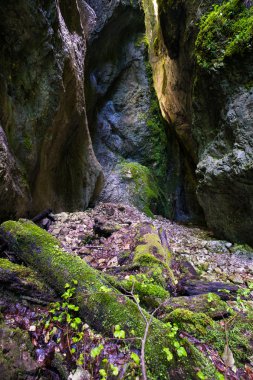 Harika Sighistel vadisi