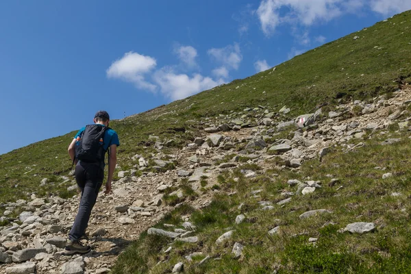 Tiener jongen wandelen — Stockfoto