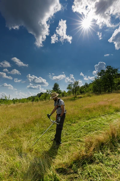 Jovem agricultor cortando o gramado — Fotografia de Stock