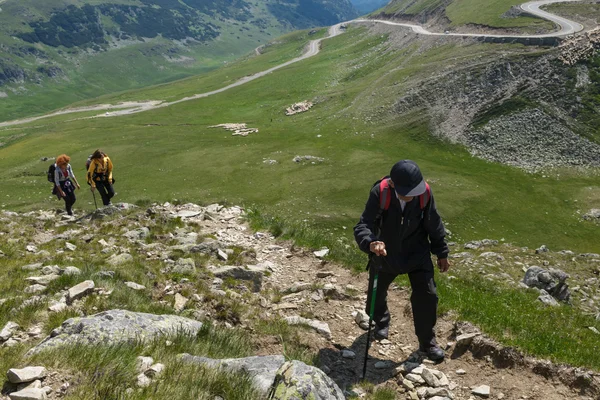 Wandelaars lopen op een parcours — Stockfoto