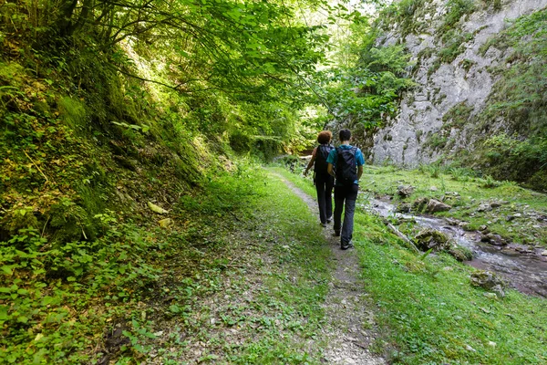 Mor och son går — Stockfoto