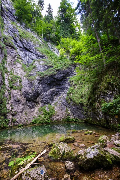 Izbucul Tauzului、 岩溶泉 — 图库照片