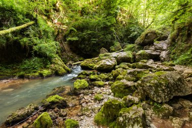 Muhteşem bir vadiden akan nehir