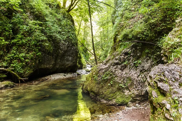 Rio que flui através de um desfiladeiro lindo — Fotografia de Stock