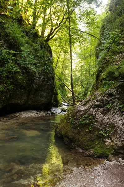 River flowing through canyon — Stock Photo, Image