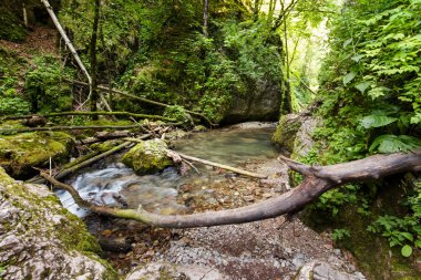 Nehir kanyondan akıyor.