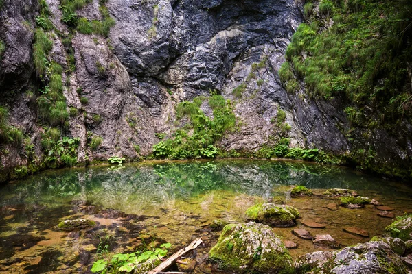 Zbucul Tauzului, fonte cárstica e caverna subaquática — Fotografia de Stock