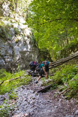 turist ile yokuş yukarı gidiş sırt çantaları