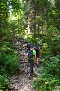 Yokuş yukarı gidiş yürüyüş yapan aile