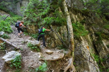bir güvenlik kablosu üzerinde tırmanma yürüyüşçü