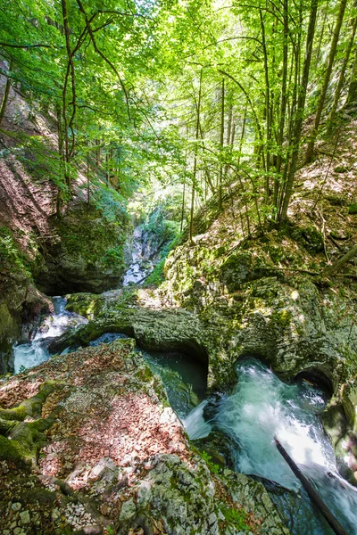 在峡谷中的河 Galbena — 图库照片