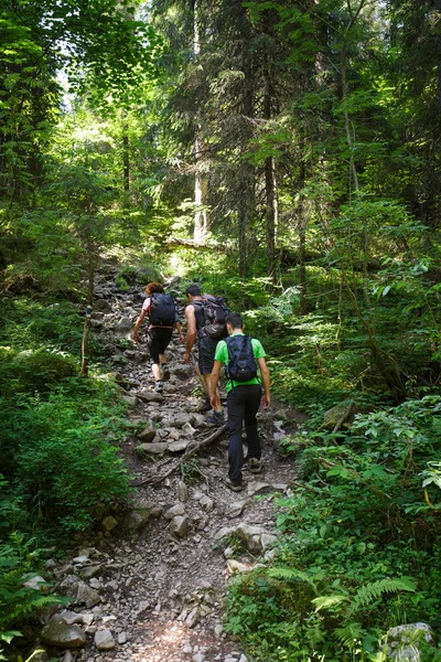 Hikers familia va cuesta arriba —  Fotos de Stock