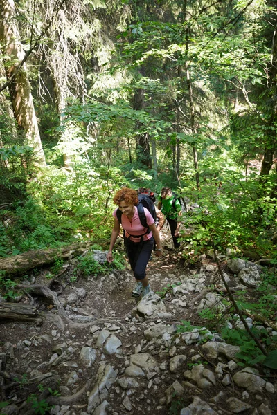 Wandelaars op een steile parcours — Stockfoto