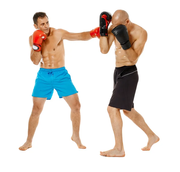 Dois lutadores kickbox sparring — Fotografia de Stock