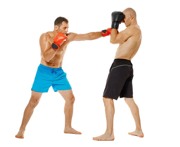 Due combattenti kickbox sparring — Foto Stock