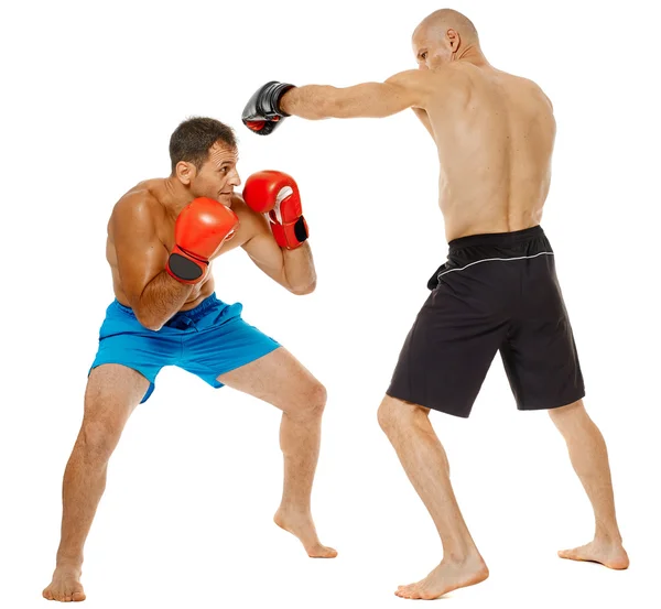 Due combattenti kickbox sparring — Foto Stock