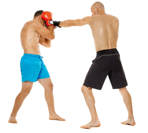 Due combattenti kickbox sparring — Foto Stock