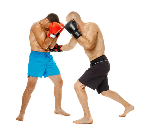 Due combattenti kickbox sparring — Foto Stock