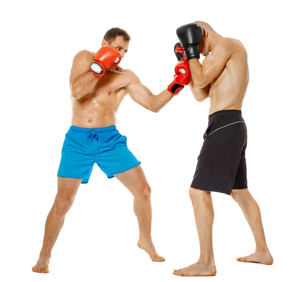 Dois lutadores kickbox sparring — Fotografia de Stock