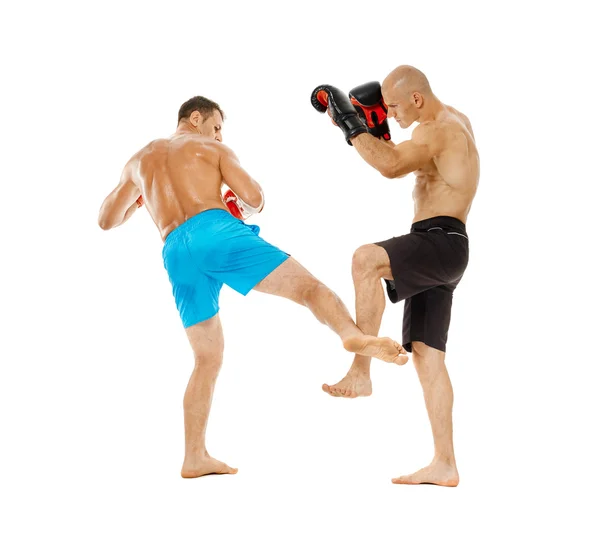 Due combattenti kickbox sparring — Foto Stock