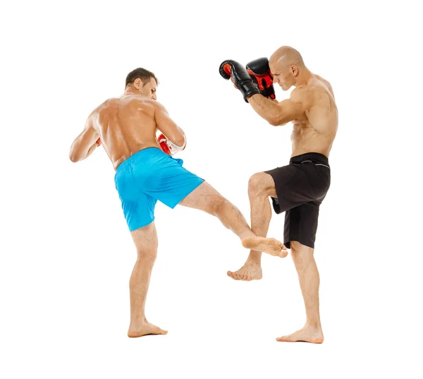 Deux combattants kickbox sparring — Photo