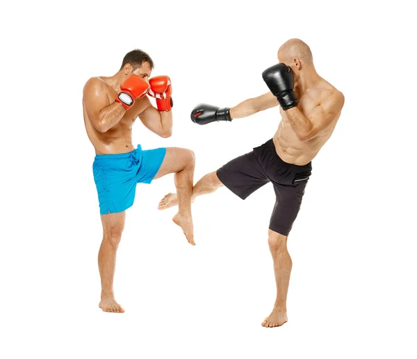 Due combattenti kickbox sparring — Foto Stock