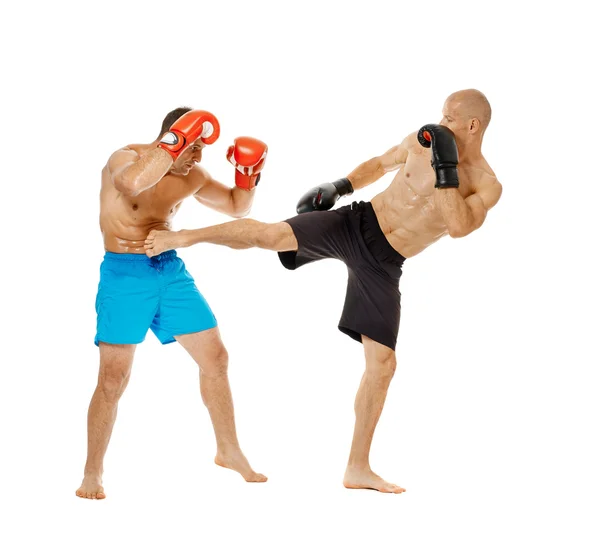 Due combattenti kickbox sparring — Foto Stock