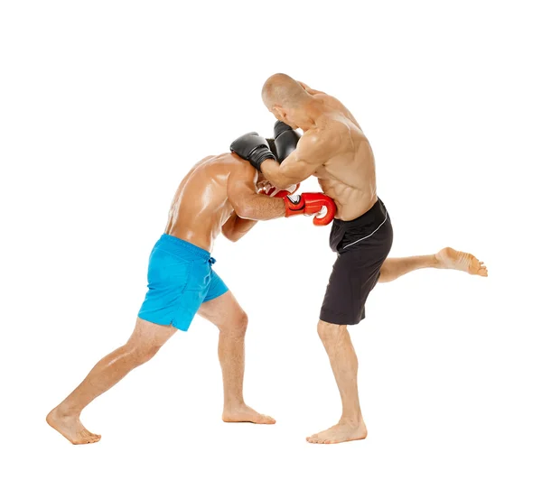 Dois lutadores kickbox sparring — Fotografia de Stock