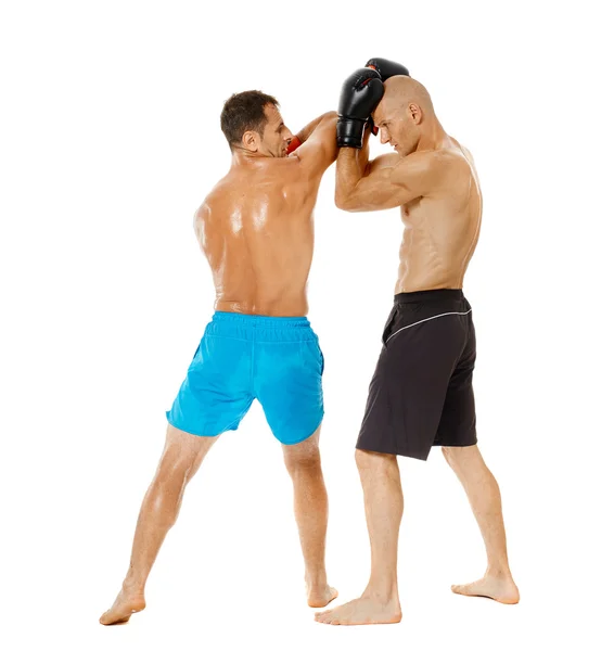 Dois lutadores kickbox sparring — Fotografia de Stock