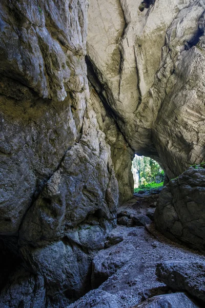 Vchodu do jeskyně Cetatile Ponorului — Stock fotografie