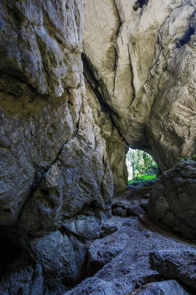 Eingang zur Ponorului-Höhle — Stockfoto