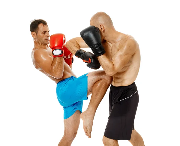 Due combattenti kickbox sparring — Foto Stock