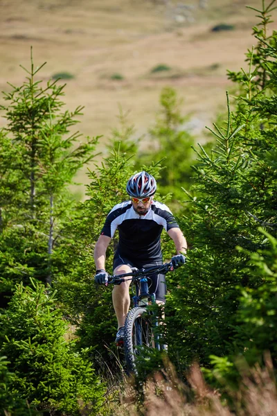 Cyclist  riding on rugged trails — Stock Photo, Image