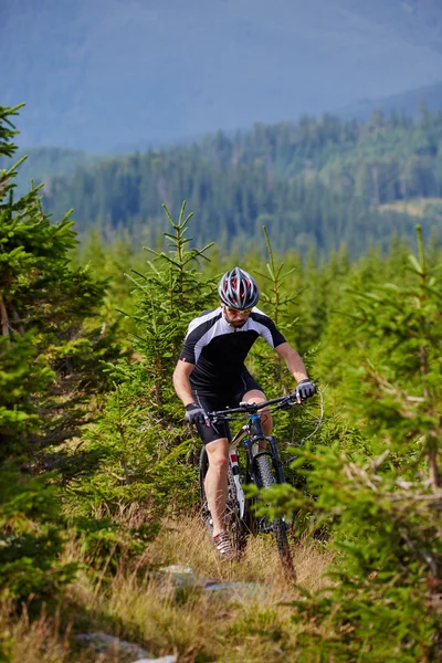 Cyclist  riding on rugged trails — Stock Photo, Image