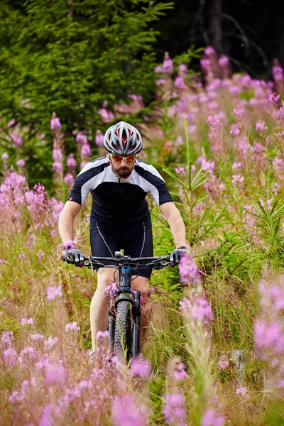 Cyclist  riding on rugged trails — Stock Photo, Image