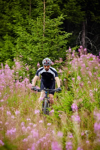 Cyclist  riding on rugged trails — Stock Photo, Image