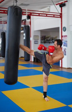 Kickbox avcı eğitim