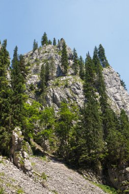 Dağ tepe güneşli bir günde