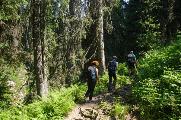 Randonneurs marchant sur un sentier de montagne — Photo