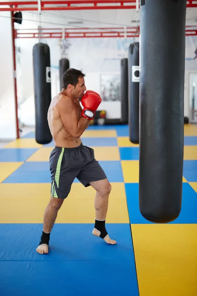 Kickbox-Kämpferausbildung — Stockfoto