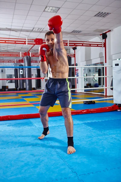 Kickbox lutador sombra boxe — Fotografia de Stock