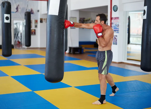 Kickbox-Kämpferausbildung — Stockfoto