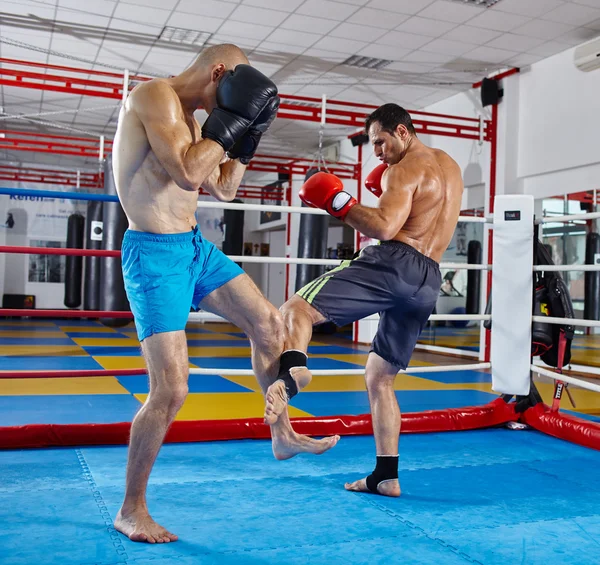 Luchadores en partido de sparring —  Fotos de Stock