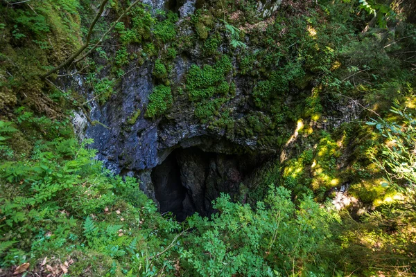 Wejście duży Lej krasowy — Zdjęcie stockowe